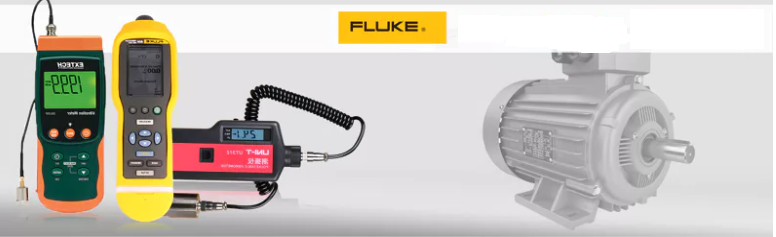 Fluke